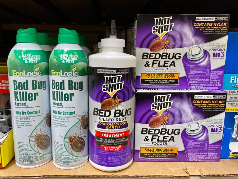 Can Bug Bombs Kill Bed Bugs - Bed Bug Bite