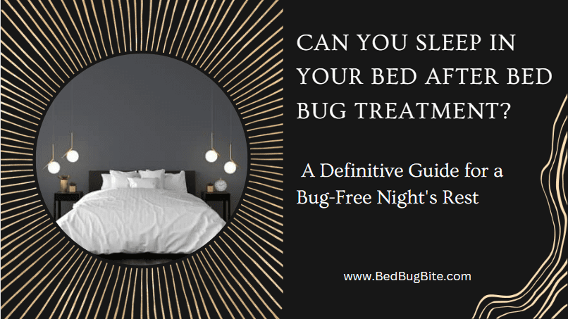 Can you sleep in your bed after bed bug treatment?