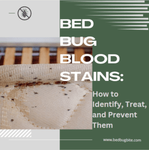 Bed Bug Blood Stains: How to Identify, Treat, and Prevent Them