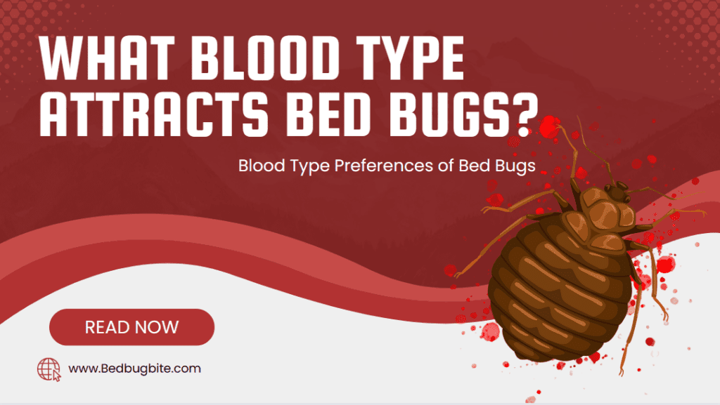 What Blood Type Attracts Bed Bugs? Blood Type Preferences of Bed Bugs