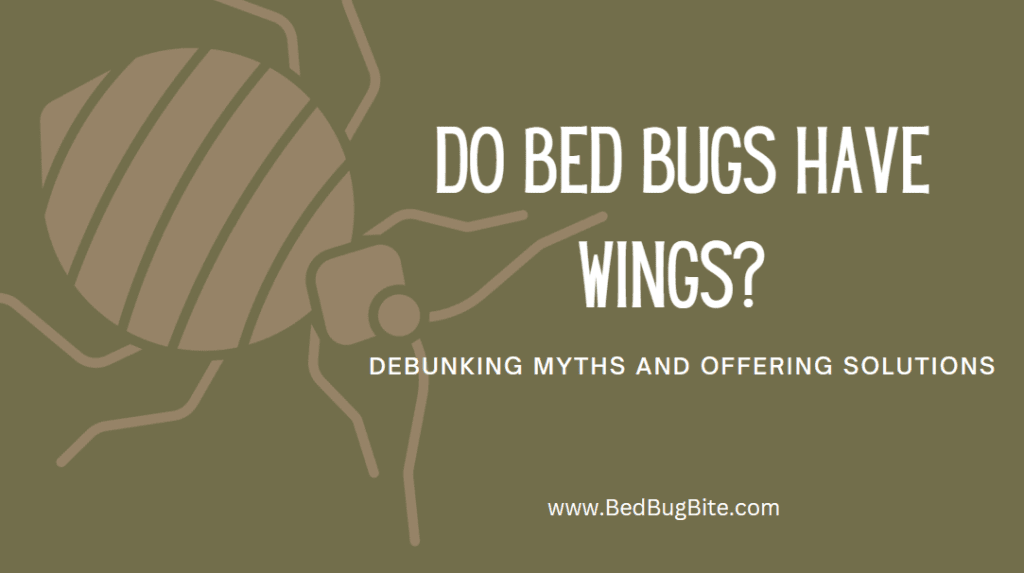 Do Bed Bugs Have Wings? debunking Myths and Offering Solutions