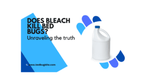 does bleach kill bed bugs?