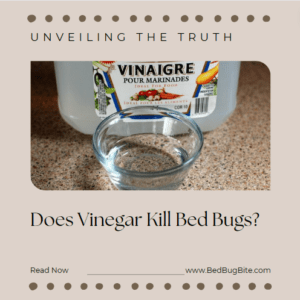 Does Vinegar Kill Bed Bugs? Unveiling the Truth