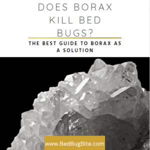 borax bed bug cover