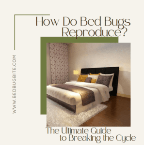 how do bed bugs reproduce cover