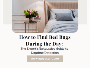 how to find bed bugs during the day