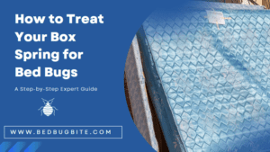 how to treat box spring for bed bugs cover