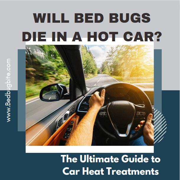 ww bed bugs die in a hot car cover