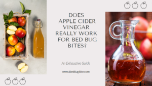 apple cider for bed bugs cover