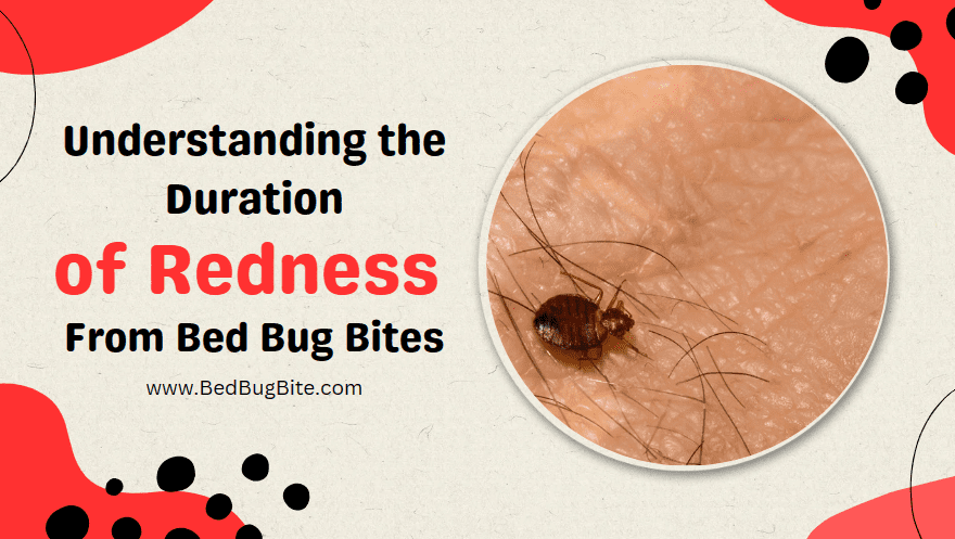 understanding redness from bb bites