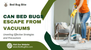 Can Bed Bugs Escape from Vacuums