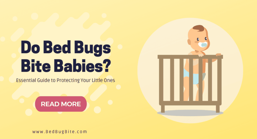 Do Bed Bugs Bite Babies