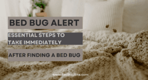 immediate response to bed bug discovery