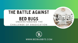 The Battle Against Bed Bugs