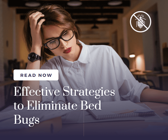 Effective Strategies to Eliminate Bed Bugs