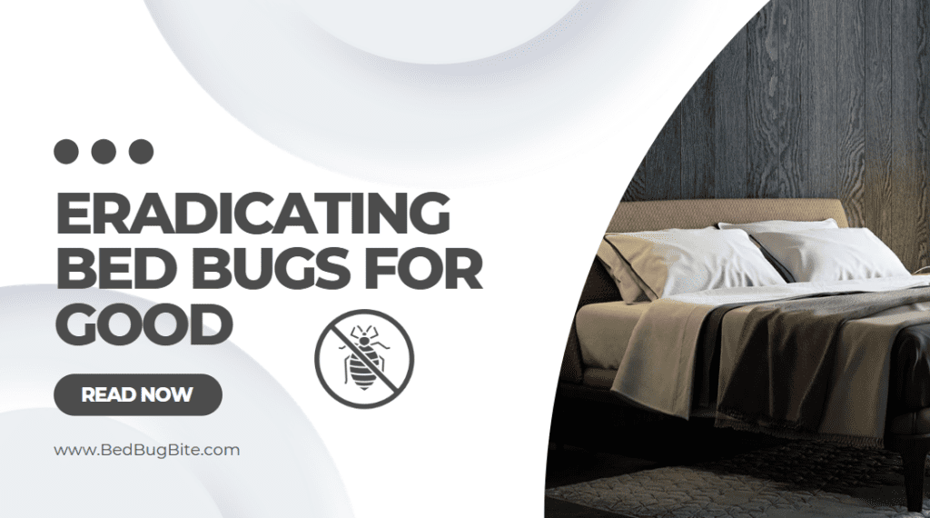 Eradicating Bed Bugs for Good