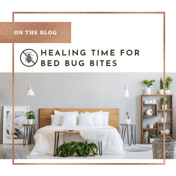 Healing Time for Bed Bug Bites