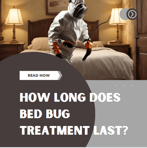 How Long Does Bed Bug Treatment Last