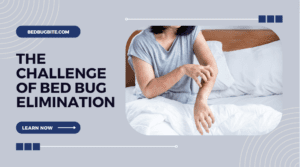 The Challenge of Bed Bug Elimination