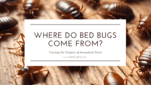 Tracing the Origins of Household Pests