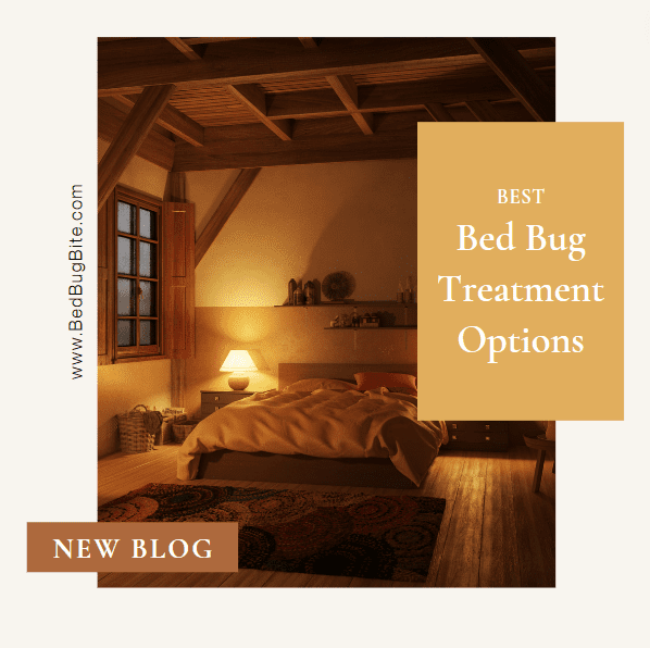 Best Bed Bug Treatment Options