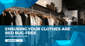 Ensuring Your Clothes are Bed Bug-Free