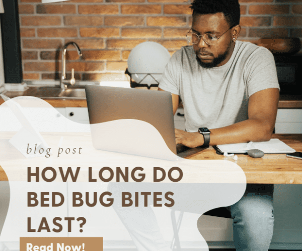 How Long Do Bed Bug Bites Last