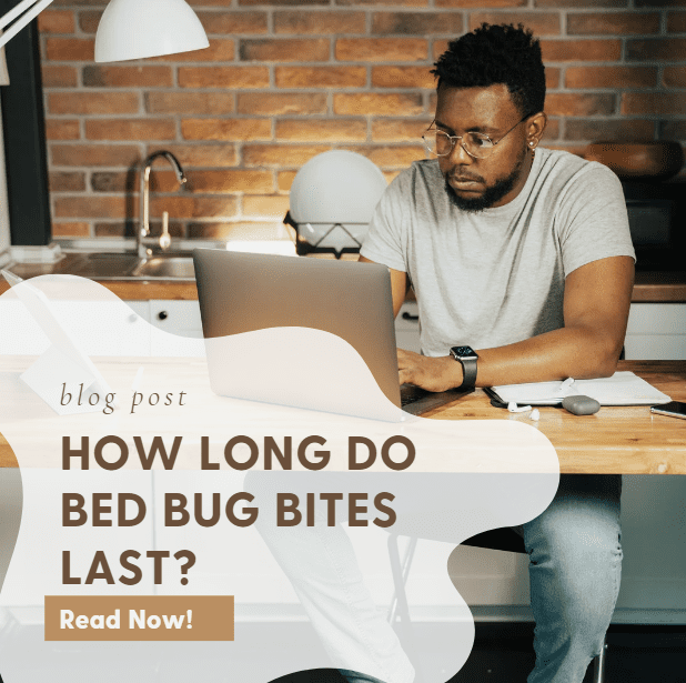 How Long Do Bed Bug Bites Last